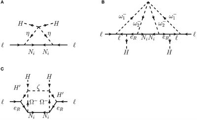A UV Picture of a Loop Induced Neutrino Mass Model and Its Phenomenological Consequences